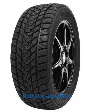 Delinte Winter WD1 275/40 R19 101H  